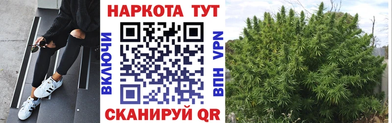 Купить Каннабис  Псилоцибиновые грибы  Меф мяу мяу  Alpha PVP  Амфетамин  Владивосток