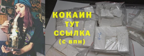индика Кукмор