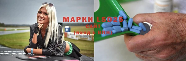 индика Кукмор