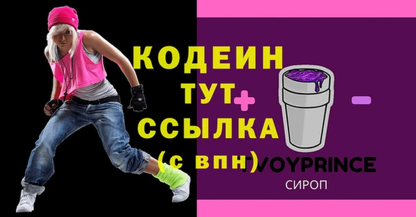 индика Кукмор