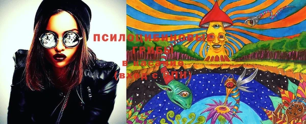 индика Кукмор