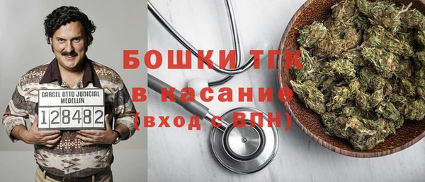 индика Кукмор