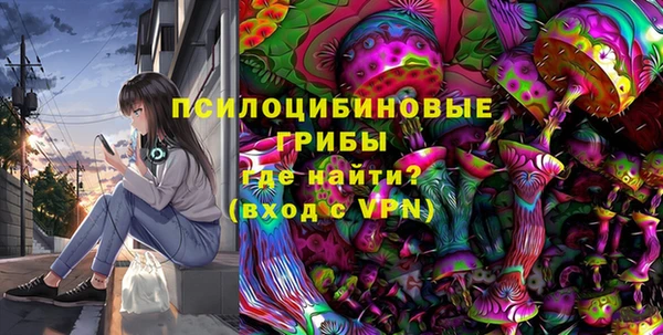 индика Кукмор