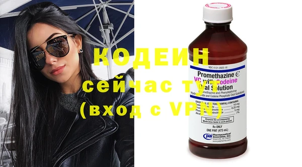 индика Кукмор