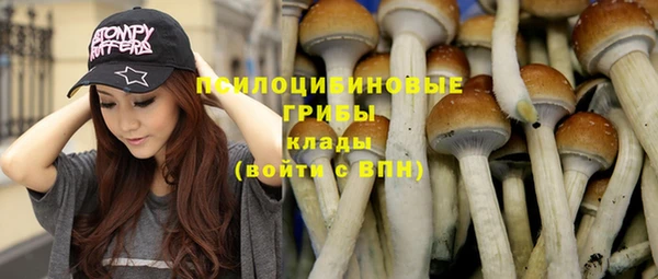ALPHA PVP Куйбышев
